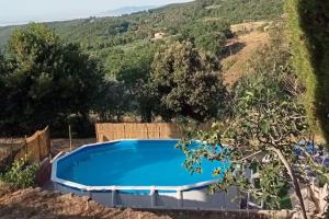 a large blue swimming pool with a hill in the background at Querciagrossa da Dora in Roccastrada