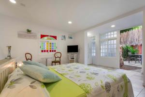 a bedroom with a large bed and a television at Finca tropical Icod in Icod de los Vinos