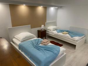 two twin beds in a room with a mirror at Living the Green in Friedrichsdorf