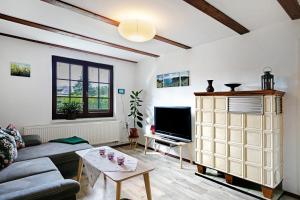 a living room with a couch and a tv at Ferienhaus Engert mit Holzofensauna in Althüttendorf