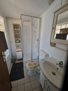 a bathroom with a shower and a toilet and a sink at Haus Meereswelle in Büsum +14 photos