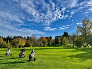 three people riding on scooters on a green field at Fewo Tannenduft - Freudenstadt in Freudenstadt