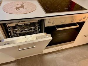 a kitchen with an oven with a dishwasher at Fewo Tannenduft - Freudenstadt in Freudenstadt