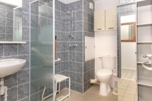a bathroom with a shower and a toilet and a sink at Appartement Aix Les Bains in Aix-les-Bains