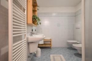 a bathroom with a sink and a toilet at Agritur piazera con terrazzo in Ronzo Chienis +15 photos