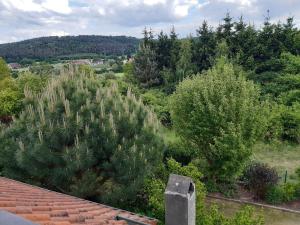 a view from the roof of a house with trees at Wohnung Karin in Spalt