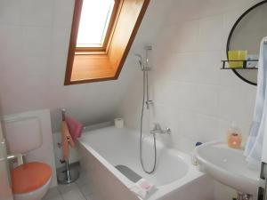 a bathroom with a shower and a toilet and a sink at Ferienwohnung Max und Moritz in Mirow +24 photos