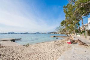a sandy beach with a tree and the water at Talaia 1a in Port de Pollensa