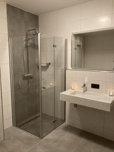 a bathroom with a shower and a sink at Wellness Appartement Winterberg E2 in Winterberg +6 photos