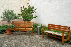 two benches sitting next to a wall with plants at Ferienwohnung Walter in Ringsheim