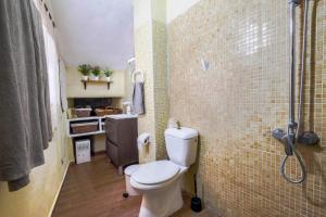 a bathroom with a toilet and a shower at Casa Amparo in Icod de los Vinos +12 photos