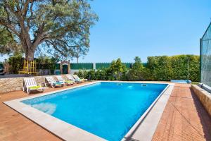 a swimming pool with lounge chairs and a tree at Casa do Sobreiro in Quelfes