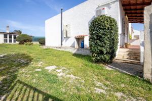 a white house with a green yard in front of it at Villetta I Pitosfori in Palmadula
