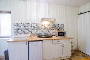 a kitchen with a counter top with a microwave at Appartement La Pierre in Saint-Médard-de-Mussidan