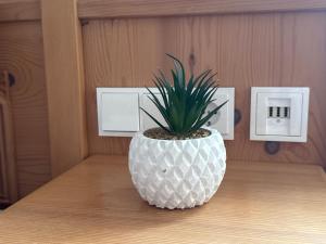 a plant in a white vase sitting on a table at Hotel Rusticone Hechendorf in Seefeld