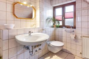 a bathroom with a sink and a toilet and a mirror at Ferienwohnung Birkenberger in Löffingen +18 photos