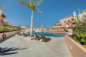 a swimming pool with lounge chairs and a palm tree at terrazas del duque fase2 in Adeje