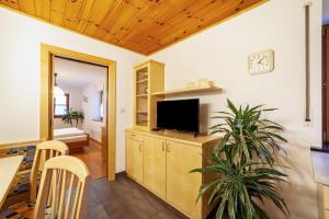 a living room with a tv and a potted plant at Wohnung Gravensteiner Schnalserhof in Laces
