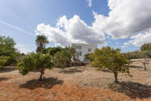 a white house with two trees in front of it at Finca Can Paci in Santa Eularia des Riu