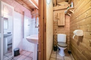 a bathroom with a toilet and a sink at Chalet 6p Confort - Le Morlay in Verchaix +13 photos