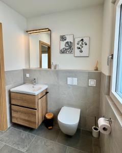 a bathroom with a toilet and a sink and a mirror at Landhaus Steinrose in Bodensdorf +30 photos