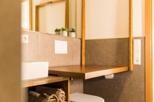 a bathroom with a toilet and a sink and a mirror at Ferienwohnung Anneliese in Neukirch +12 photos