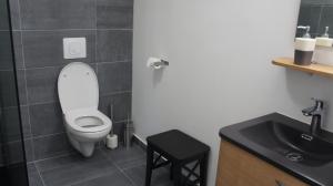 a bathroom with a toilet and a sink at La Trouverie in Laqueuille +23 photos