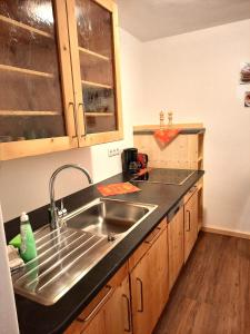 a kitchen with a stainless steel sink and wooden cabinets at Peter Paul Domblick Erdgeschoss in Appiano sulla Strada del Vino +5 photos