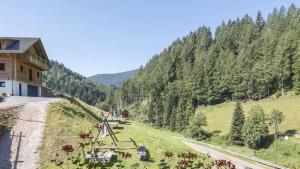 a hillside with a house and a road and trees at Springhansenhof in Oppenau