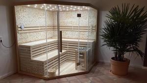 a glass shower in a room with a potted plant at Suite mit Wintergarten in Dedelstorf +18 photos