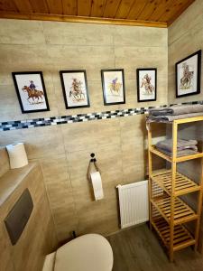 a bathroom with a toilet and some pictures on the wall at Tiny Rooster Lodge in Alt Duvenstedt +21 photos