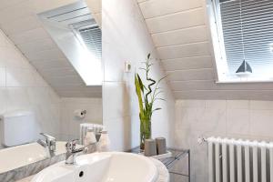 a bathroom with a sink and a vase with a plant at Ferienwohnung en Verde in Felsberg +20 photos