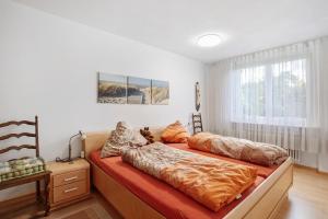 a bedroom with two beds and a window at Fewo Waldfee in Höchenschwand
