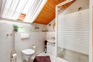 a bathroom with a shower and a toilet and a sink at Haus Müller in Böhringen +37 photos