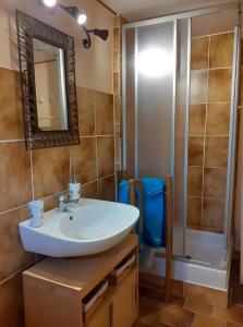 a bathroom with a sink and a shower at Maisonnette Cocooning en Sologne in Gy-en-Sologne