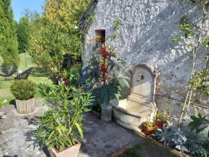 a garden with plants in front of a building at Maisonnette Cocooning en Sologne in Gy-en-Sologne