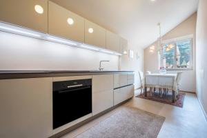a kitchen with a sink and a dishwasher at Loft Lauben in Bressanone