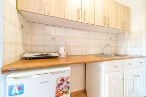 a kitchen with a counter and a sink and a dishwasher at Arianna Studio Ground Floor 2 in Paleokastritsa