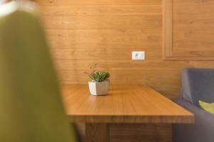 a potted plant sitting on a wooden table at Rosalpina Apt 1 in San Vigilio Di Marebbe +13 photos