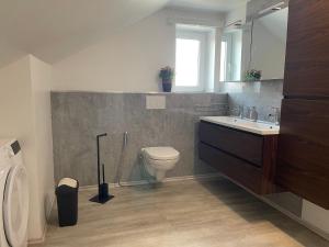 a bathroom with a toilet and a sink and a mirror at promedklinik apartment 3 in Volkach