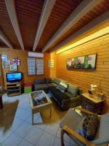 a living room with a couch and a tv at Maison de vacances Proche Arcachon in La Teste-de-Buch