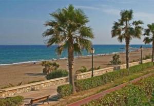 a beach with palm trees and a bench and the ocean at 2 bed apartment with pools and spa in Vera