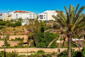 a palm tree in a park with buildings in the background at Casa de Ses Roques in Ciutadella
