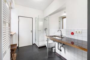a bathroom with a sink and a toilet and a shower at Fewo Boho in der Altstadt in Pirna
