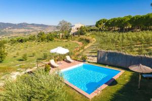 an overhead view of a swimming pool in a field with an umbrella at Cortijo La Almazara in Ronda