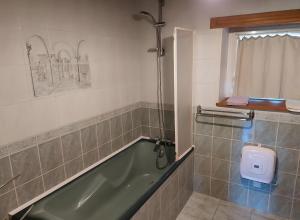 a bathroom with a green tub and a shower at Séjour Nature à Campan in Campan