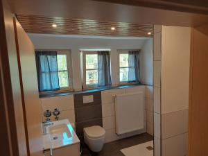 a bathroom with a toilet and a sink and windows at Ferienwohnung Reinbold in Durbach +8 photos