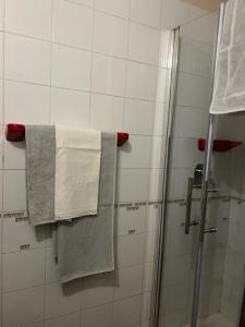 a bathroom with two towels and a shower at Ninette, intimità e natura in Sauze di Cesana +32 photos