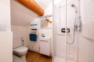 a bathroom with a toilet and a shower at Chalet les églantiers in Valloire +23 photos