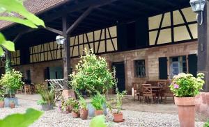 a patio with potted plants and tables and a building at Villa Buselmeier in Neuried